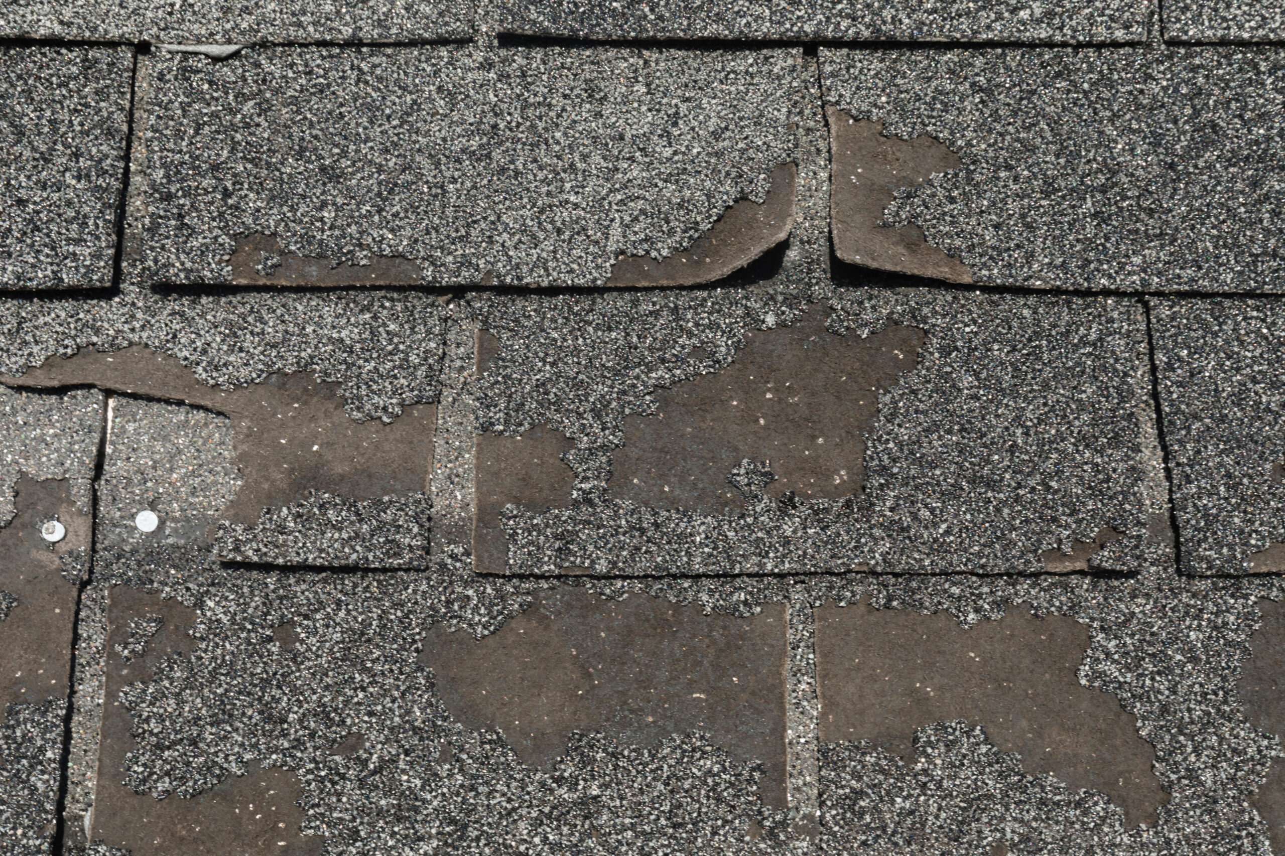 shingles with missing granules and curling