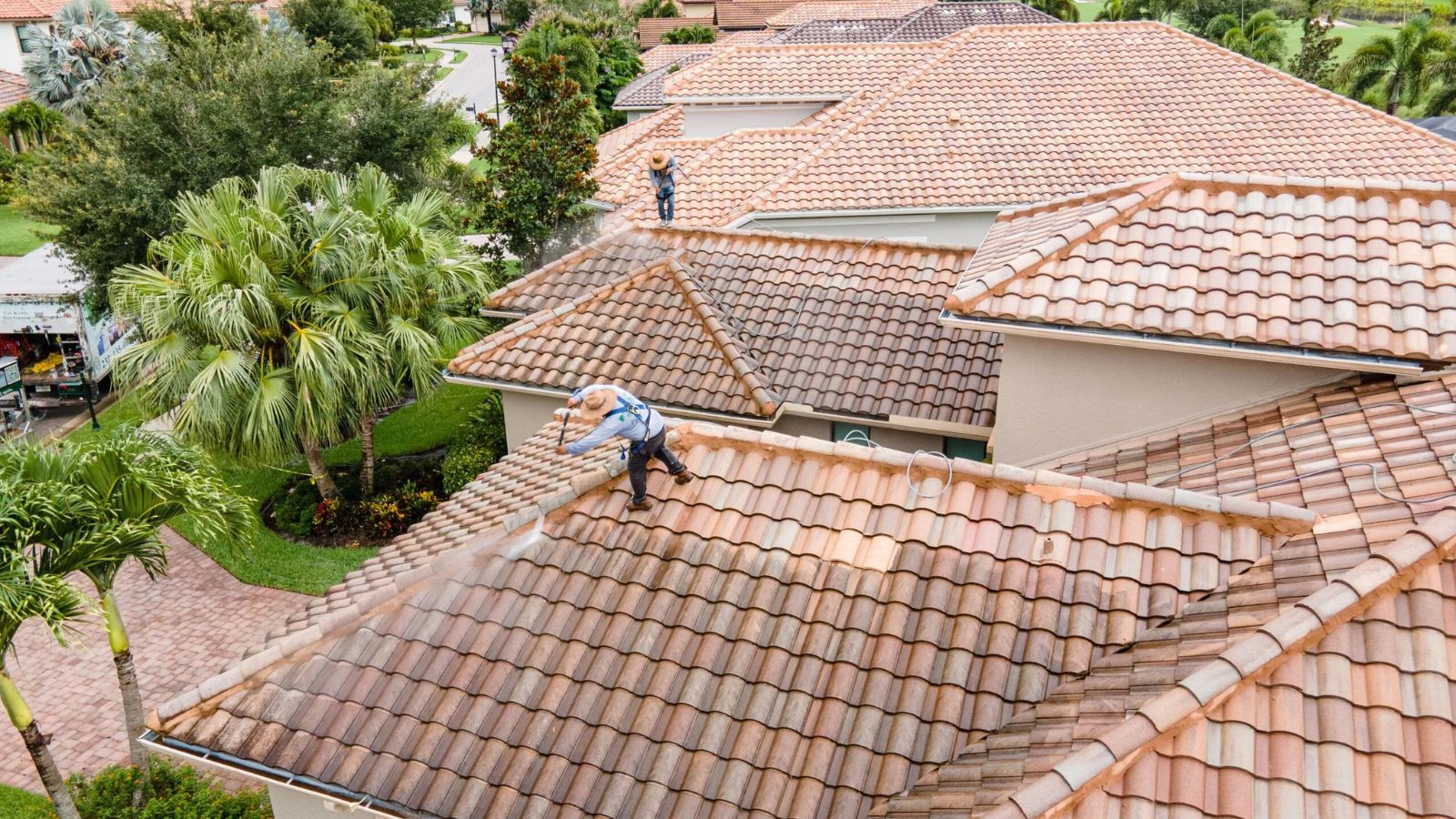Roof cleaning service in progress with workers on tiled rooftops and palm trees in the background.