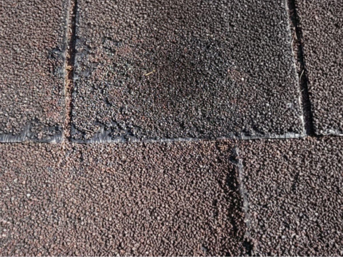 Granule loss and surface wear on asphalt shingles, exposing the asphalt layer and reducing the roof’s protective lifespan