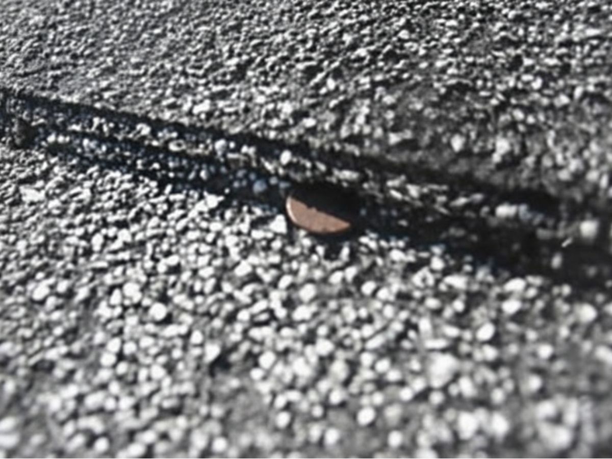 Exposed nail head in asphalt shingles