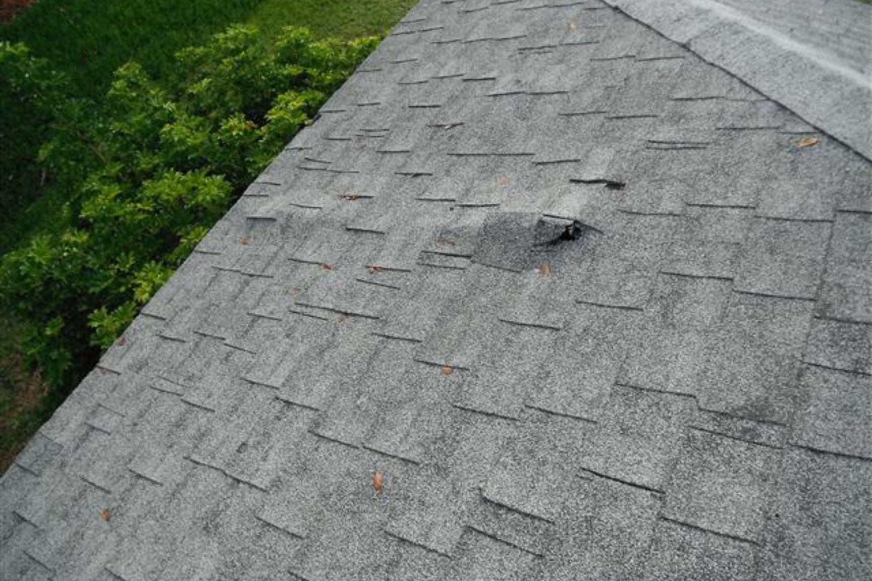 Damaged asphalt shingle roof with lifted and missing shingles, indicating potential leak risk on residential home