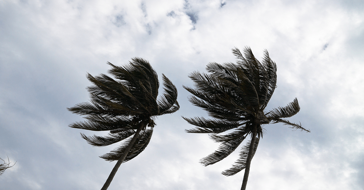 blog-hurricane