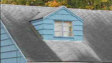 Can You Identify What’s Growing on Your Roof? 3 ALGAE GROWTH 2