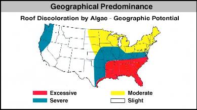 Can You Identify What’s Growing on Your Roof? 6 Geographical Predominance