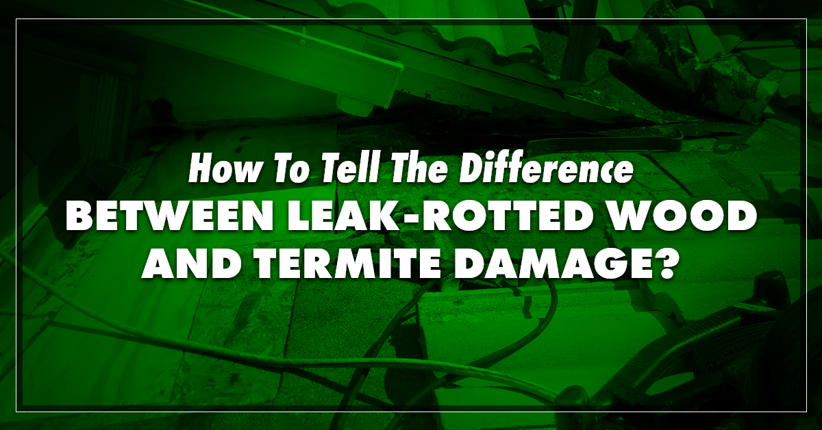 Blog-Kelly-damage