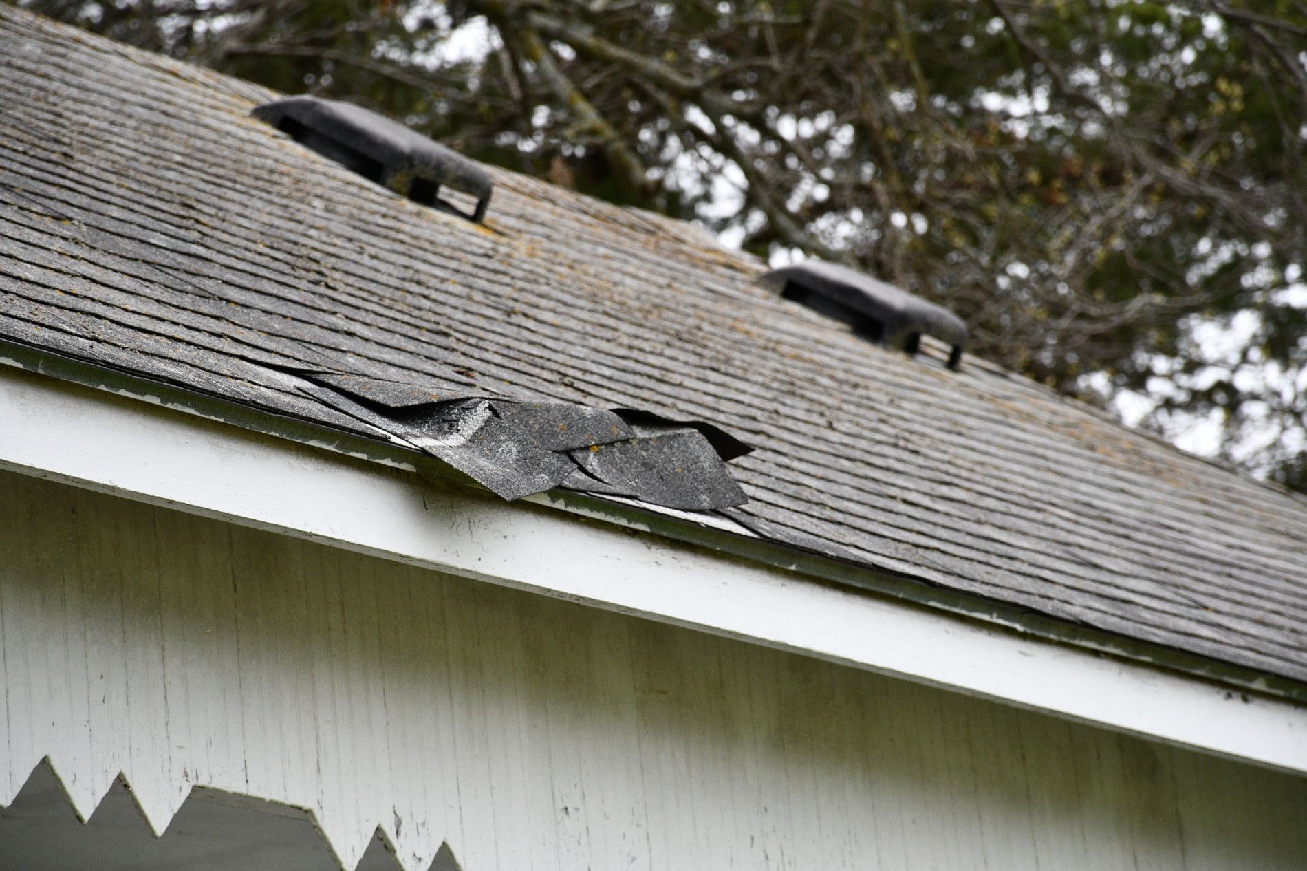 slight shingle roof damage